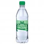 Radnor Hills Sparkling Bottled Water 500ml (Pallet 84 Packs of 24) - 201036x84 50105XX