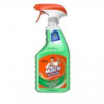 Mr Muscle Window and Glass Cleaner Spray Bottle 750ml 1003009 52368CP