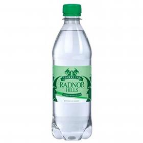 Radnor Hills Sparkling Bottled Water 500ml (Pack 24) - 0201036 52998CP