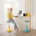 Leitz Ergo Cosy Standing Desk Converter Compact 65330085 56620AC