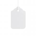 ValueX Reinforced Coloured Strung Tag 48x32mm White (Pack 1000) T257845 57845CT