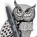 Pentel Arts Pointliner 11 Size Tips plus 2.0mm & 0.3mm Caligraphy Pens in Black & 0.5mm in Grey Sepia and Sanguine Ink (Pack 14) - YS20P-14 58596PE
