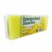 Ecotech Sponge Back Scourers PK10 59662EC