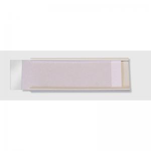 Beaverswood Self-Adhesive PVC Label Holder Clear With White Card For