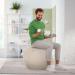 Leitz Ergo Active Sitting Ball 75cm Anti-Roll-Away Light Grey - 65430085 62404AC