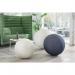 Leitz Ergo Active Sitting Ball 75cm Anti-Roll-Away Light Grey - 65430085 62404AC