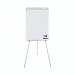 Bi-Office Earth Flipchart Easel 700x1000mm Grey - EA2376995 68930BS