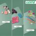 Leitz Desk Mat 36x70cm Transparent Matte - 53810003 70972AC
