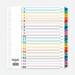 ValueX Index 1-20 A4 Extra Wide Card White with Coloured Mylar Tabs - 824254 84603PG