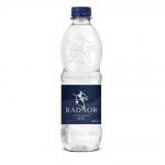 Radnor Hills Still Bottled Water 500ml (Pack 24) 201037 85299CP