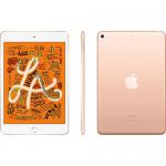 Apple iPad mini 5th Gen 7.9in 64GB Gold