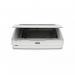 Epson Expression 13000XL 2400 x 4800 DPI A3 Flatbed Scanner 8EPB11B257401BY