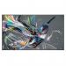 Philips Q Line BDL3511Q 86 Inch 3840 x 2160 Pixels 4K Ultra HD HDMI USB DVI Basic Signage Display 8PH86BDL3511Q