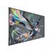 Philips Q Line BDL3511Q 86 Inch 3840 x 2160 Pixels 4K Ultra HD HDMI USB DVI Basic Signage Display 8PH86BDL3511Q
