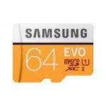 64GB EVO CL10 MicroSDXC and Adapter 8SAMBMP64HAEU