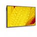 Sharp MultiSync M651-2 65 Inch 3840 x 2160 Pixels 4K Ultra HD VA Panel HDMI DisplayPort Large Format Display 8SH10442948