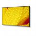 Sharp MultiSync M651-2 65 Inch 3840 x 2160 Pixels 4K Ultra HD VA Panel HDMI DisplayPort Large Format Display 8SH10442948