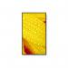 Sharp MultiSync M651-2 65 Inch 3840 x 2160 Pixels 4K Ultra HD VA Panel HDMI DisplayPort Large Format Display 8SH10442948