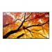 Sharp MultiSync M752 74.5 Inch 3840 x 2160 Pixels 4K Ultra HD IPS Panel HDMI DisplayPort USB-C Large Format Display 8SH10462625