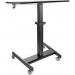 StarTech Portable Sit Stand Ergonomic Height Adjustable Cart on Wheels Maximum Weight 30kg 8ST10329175