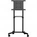 Startech Mobile TV Cart Rolling Stand for 37in to 70in Vesa Displays 8ST10341202