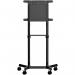 Startech Mobile TV Cart Rolling Stand for 37in to 70in Vesa Displays 8ST10341202