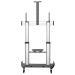 StarTech.com Heavy Duty Mobile TV Stand for 60 to 100 Inch Displays 8ST10341203