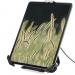 StarTech 7.9 to 13 Inch Secure Tablet Stand with K-Slot Cable Lock 