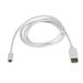 StarTech 6ft USB C to DisplayPort Cable 4K 8STCDP2DPMM6W