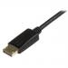 3 ft DisplayPort to DVI Converter Cable