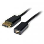 1m DP to Mini DP Adapter Cable MF