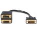 StarTech 1ft DVI D to 2x DVI D Splitter 8STDVISPL1DD