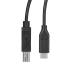 StarTech 3m 10 ft USB C to USB B Cable USB 2.0 8STUSB2CB3M