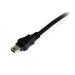 StarTech.com 6ft USB Y Cable for External Hard Drive 8STUSB2HABMY6