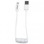 Lightning to USB cable coiled 1ft white