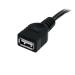 StarTech 3 ft Black USB 2.0 Extension Cable A to 8STUSBEXTAA3BK