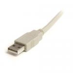 6ft Beige A to A USB 2.0 Cable MM