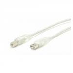 6 ft Clear A to B USB 2.0 Cable