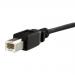 3 ft Panel Mount USB Cable B to B