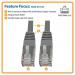 10ft Cat6 Gbe UTP RJ45 Grey Cable