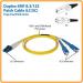 10ft Duplex SM 8.3 125 Fibre Cable LCSC