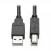 6ft HDMI DVI USB KVM Cable Kit USB A B