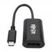 USBC to DisplayPort 4K Adapter 3840x2160