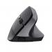 Trust Bayo II 2400 DPI Ergonomic Black Wireless Mouse 8TR25145