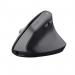 Trust Bayo+ 2400 DPI RF Wireless + Bluetooth Optical Mouse 8TR25146