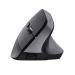 Trust Bayo+ 2400 DPI RF Wireless + Bluetooth Optical Mouse 8TR25146