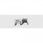 Xbox Arctic Camo Special Edition Grey Wireless Controller