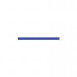 QueueMaster 550 Satin Ssteel Post Blue Belt 3.4m Pack of 2 FS613844