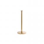 5 Star RopeMaster Flat Top Polished Brass Post Pack of 2 FS630957