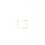 Standard Horizontal A3 Sign Frame Polished Brass for Rope Barriers FS633804